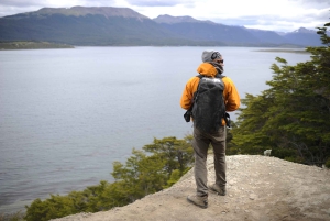 Ushuaia: Ilha Gable e Colónia de Pinguins com Canoagem