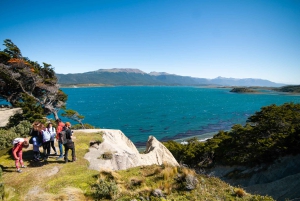 Ushuaia: Ilha Gable e Colónia de Pinguins com Canoagem