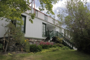 Ushuaia: Ilha Gable e Colónia de Pinguins com Canoagem