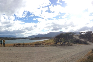Ushuaia: Ilha Gable e Colónia de Pinguins com Canoagem