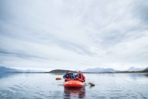 Ushuaia: Isla Gable y Pingüinera con Almuerzo
