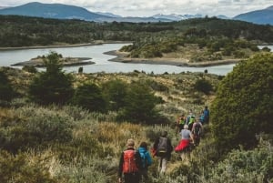 Ushuaia: Isla Gable y Pingüinera con Almuerzo