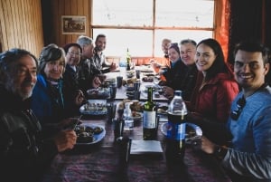 Ushuaia: Isla Gable y Pingüinera con Almuerzo