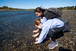 Ushuaia: Isla Gable y Pingüinera con Almuerzo