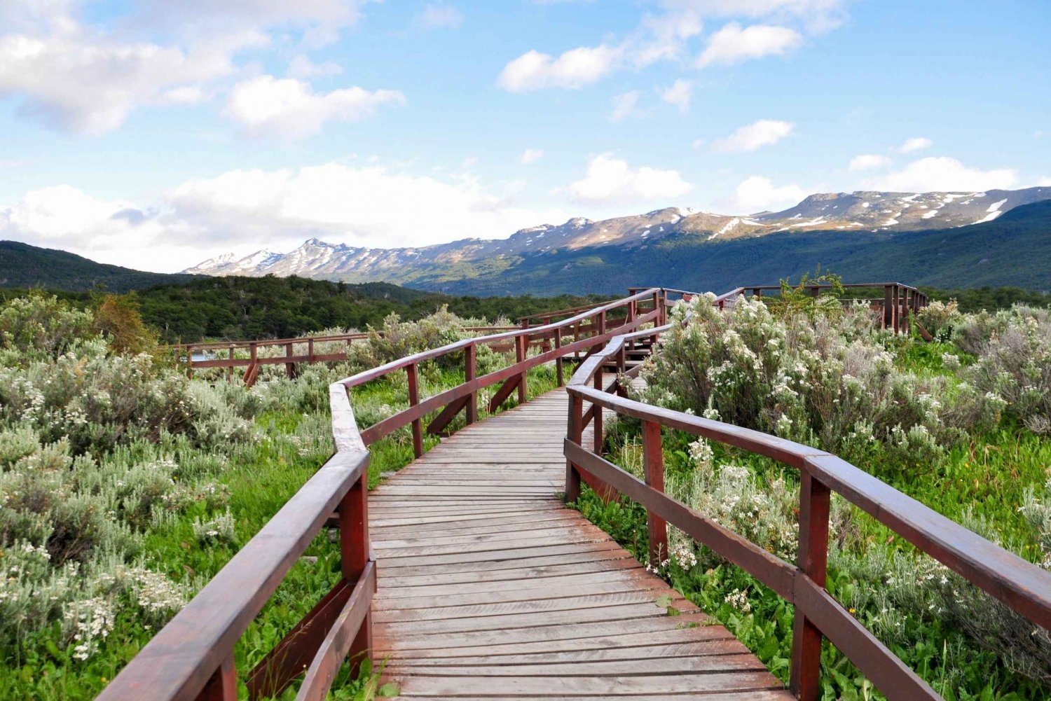 Ushuaia: Visita guidata al Parco Nazionale della Terra del Fuoco