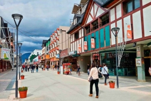 Ushuaia : visite d'une demi-journée de la ville avec collation