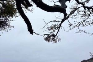 4x4 Ushuaia Aventura: Lagos Escondido y Fagnano.