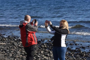 4x4 Ushuaia Aventura: Lagos Escondido y Fagnano.
