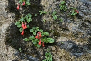 4x4 Ushuaia Aventura: Lagos Escondido y Fagnano.