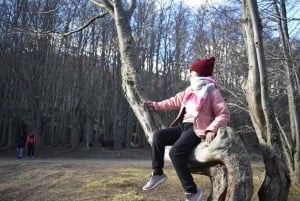 4x4 Ushuaia Aventura: Lagos Escondido y Fagnano.