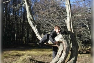 4x4 Ushuaia Aventura: Lagos Escondido y Fagnano.