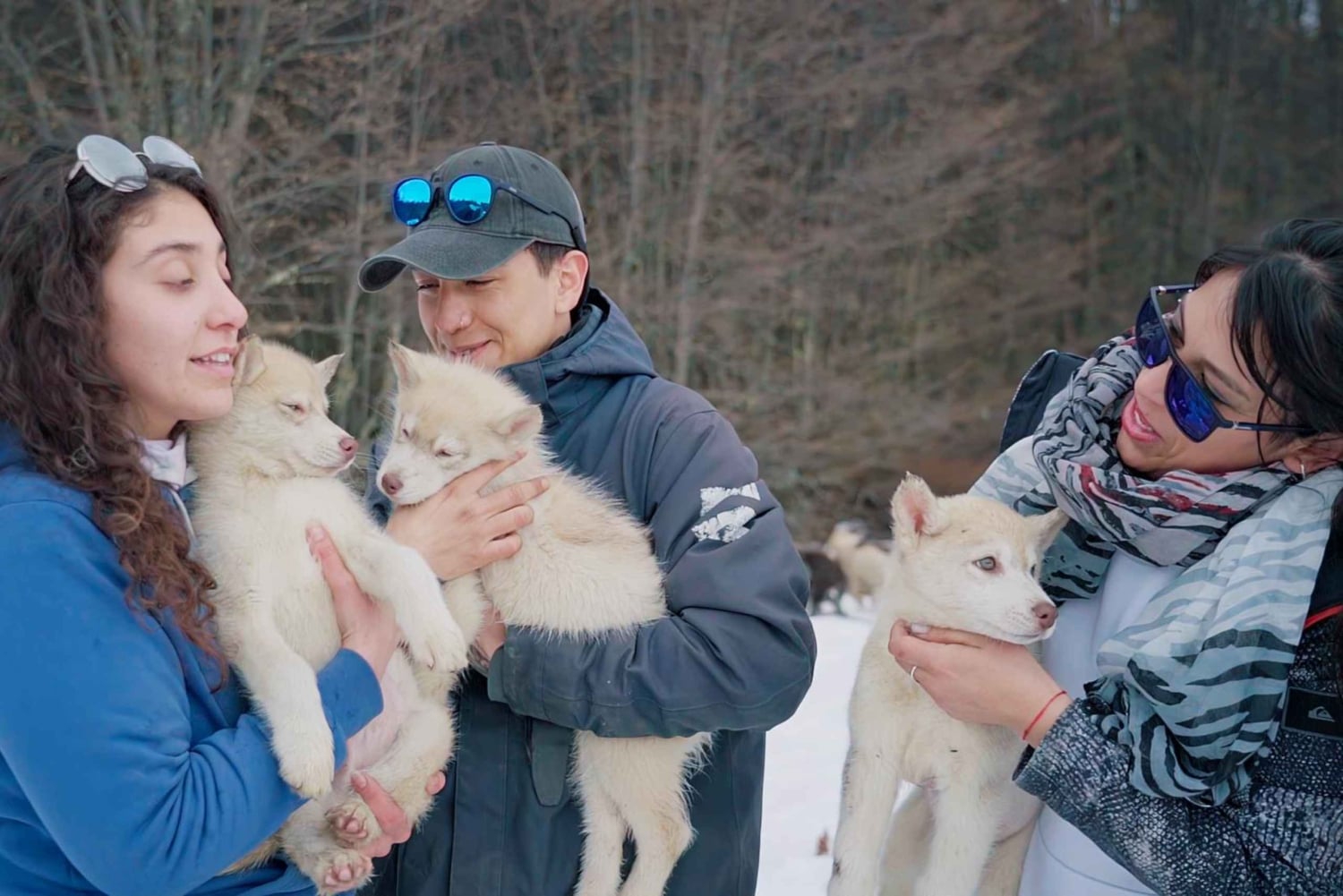 Ushuaia: Trekking Husky com Transfer