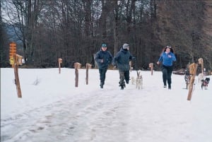 Ushuaia: Trekking Husky com Transfer