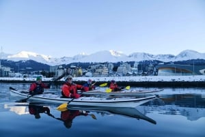 Ushuaia: aventura privada en kayak por el canal Beagle