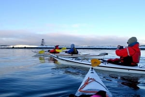 Ushuaia: aventura privada en kayak por el canal Beagle