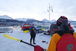 Ushuaia: aventura privada en kayak por el canal Beagle