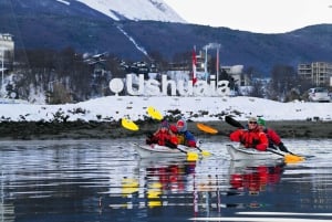 Ushuaia: aventura privada en kayak por el canal Beagle