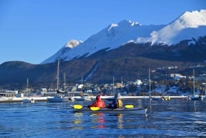Ushuaia: aventura privada en kayak por el canal Beagle