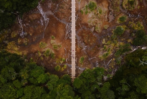 Ushuaia: Laguna Esmeralda Guided Trek with Box Lunch