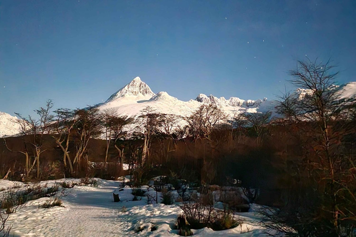 Ushuaia: Vandring i den smaragdgrønne lagunen om natten