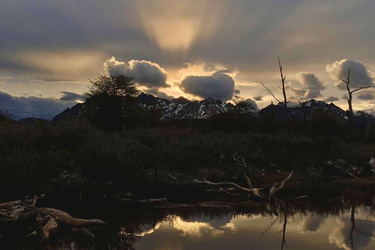 Ushuaia: Vandring i den smaragdgrønne lagunen om natten