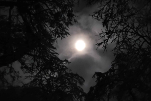 Ushuaia: tour notturno della Laguna di Smeraldo