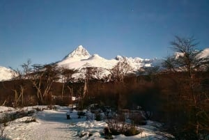 Ushuaia: Vandring i den smaragdgrønne lagunen om natten