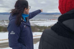 USHUAIA: LANDSKAP OG HERLIGHETER - BYRUNDTUR