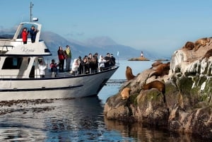 Ushuaia: tour di un giorno all'isola Martillo - Passeggiata tra i pinguini