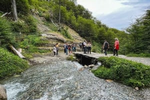 Ushuaia: National Park Mega Tour+Martial Glacier with Lunch