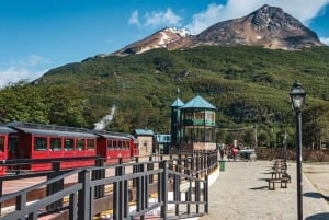 Ushuaia: National Park Mega Tour+Martial Glacier with Lunch
