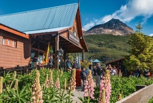 Ushuaia: National Park Mega Tour+Martial Glacier with Lunch