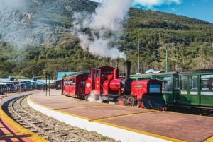 Ushuaia: National Park Mega Tour+Martial Glacier with Lunch