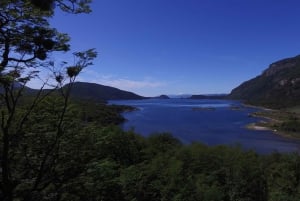 Ushuaia: Nasjonalpark og tog til verdens ende-tur