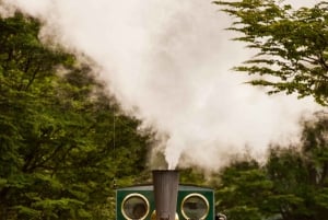 Ushuaia: Nationaal Park & Trein van het Einde van de Wereld Tour