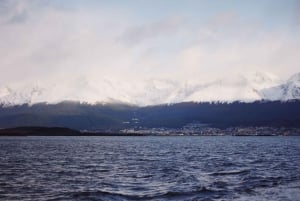 USHUAIA | Navegação: Leões-marinhos, pássaros e farol