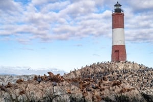 USHUAIA | Navegação: Leões-marinhos, pássaros e farol