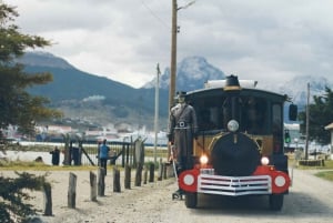 Ushuaia: panoramische stadstreintour