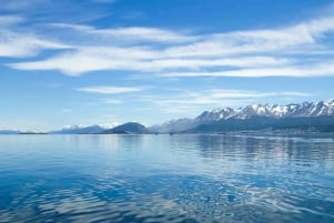 Ushuaia: panoramische stadstreintour