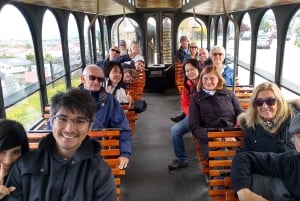 Ushuaia: Tour panoramico della città in treno