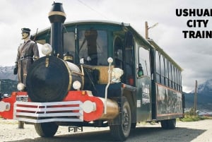 Ushuaia: Tour panoramico della città in treno