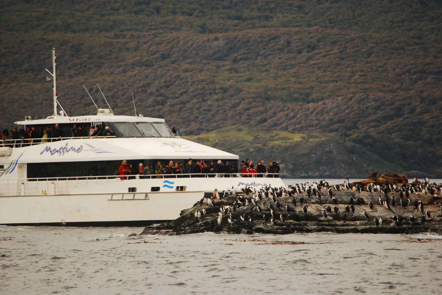 Ushuaia: Penguin Watching Tour by Catamaran