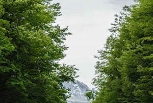 Ushuaia: Penguins Watching Tour by boats from Puerto Almanza