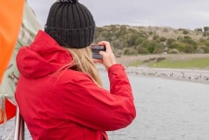 Ushuaia: Penguins Watching Tour by boats from Puerto Almanza