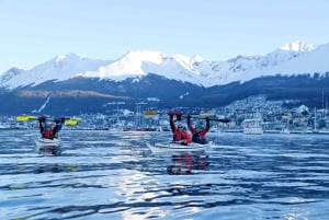 Ushuaïa : aventure privée en kayak dans le canal Beagle