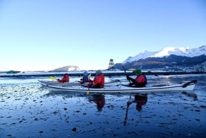 Ushuaïa : aventure privée en kayak dans le canal Beagle