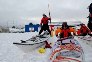 Ushuaïa : aventure privée en kayak dans le canal Beagle