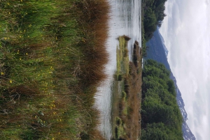Ushuaia: Privat tur til Tierra del Fuego National Park