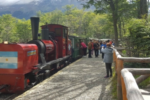 Ushuaia: Private Tour Tierra del Fuego National Park