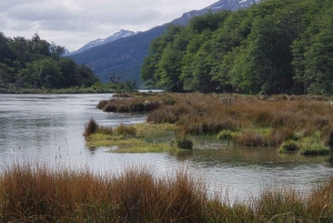 Ushuaia: Private Tour Tierra del Fuego National Park